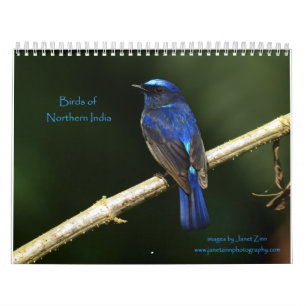 Vögel im Nordindischen Kalender