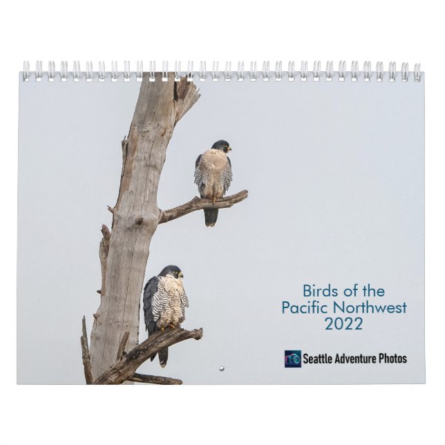 Vögel im Nordwesten des Pazifiks 2022 - Kalender (Titelbild)