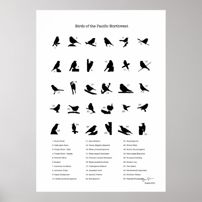 Vögel im Nordwesten (mit Namen) Poster (Vorne)