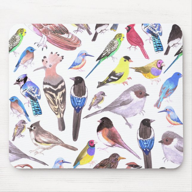 Vögel in Amerika - Heimtiere und wild lebende Vöge Mousepad (Vorne)