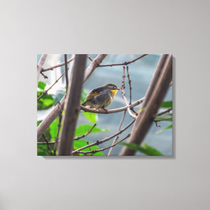 Vogel in Baumansicht Leinwand drucken