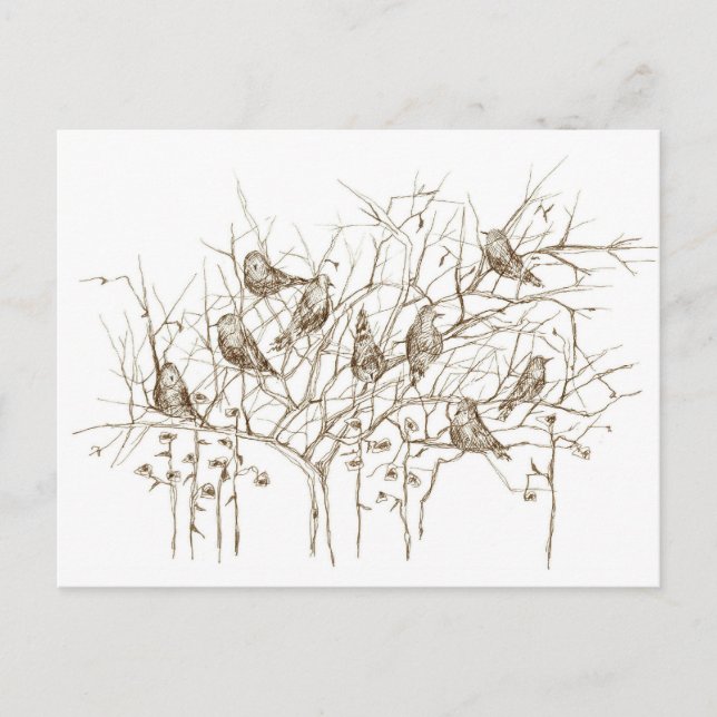 Vögel in Baumsepen und Tintenfisch Postkarte (Vorderseite)