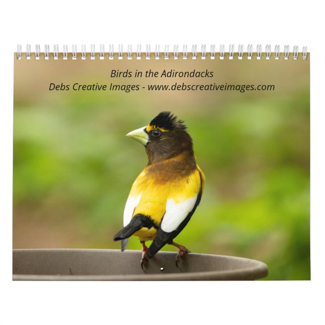 Vögel in den Adirondacks 2026 Kalender (Titelbild)