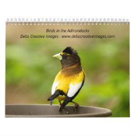 Vögel in den Adirondacks 2026 Kalender