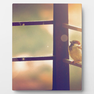 Vögel in der Abendsonne Fotoplatte