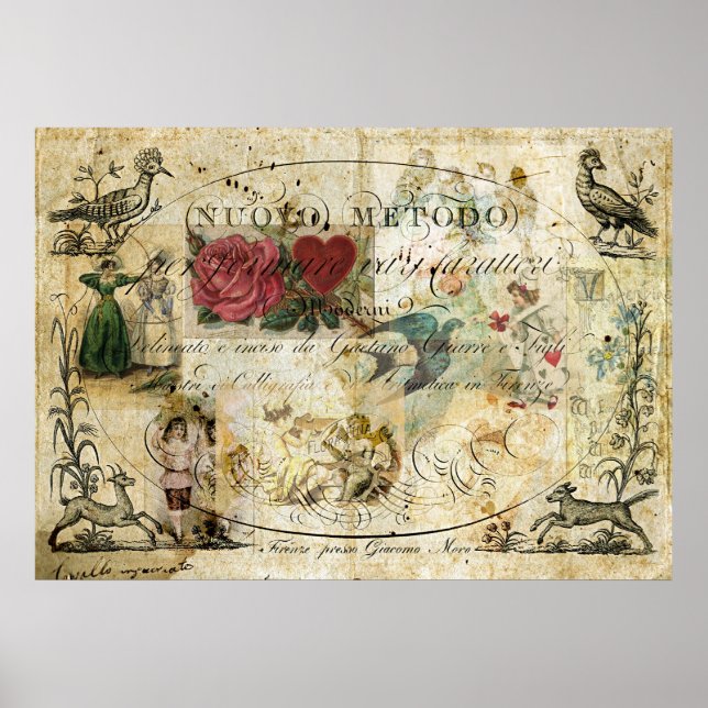 Vögel in der Hand Poster (Vorne)