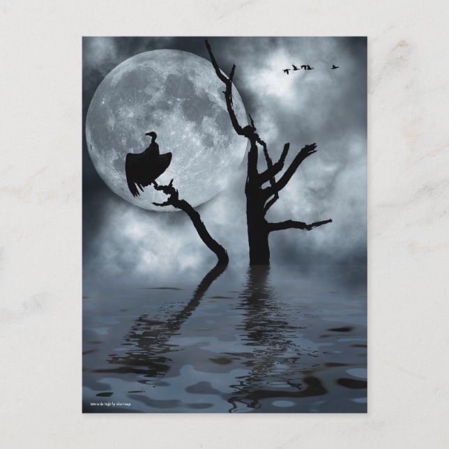 Vögel in der Nacht Postkarte (Vorderseite)