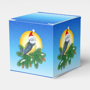 Vögel in der Weihnachtsmannmütze Geschenkschachtel