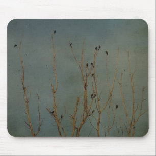 Vögel in einem Baum, Grunge Mousepad