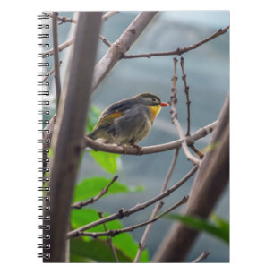 Vogel in einem Baumnotizbuch Notizblock