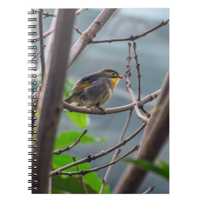Vogel in einem Baumnotizbuch Notizblock (Vorderseite)
