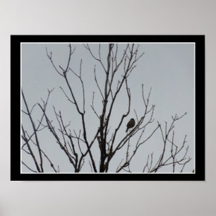 Vogel in einem kahlen Baum Poster