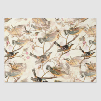 Vögel in einer Zweigstelle Seidenpapier