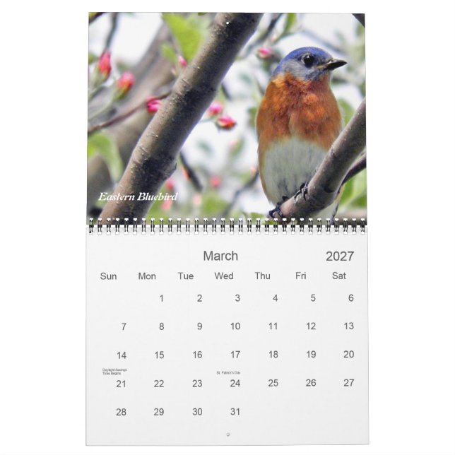 Vögel in Ihrer Hinterhoffotografie Kalender (Mär 2027)