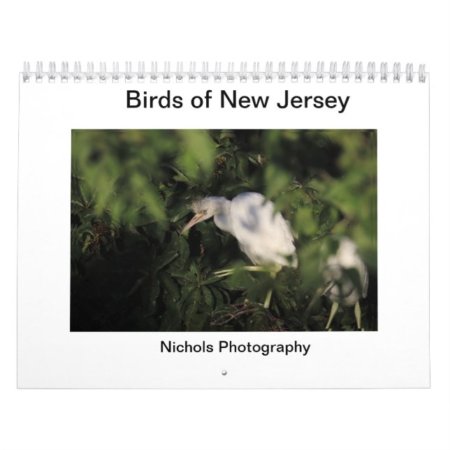 Vögel in New Jersey Kalender (Titelbild)