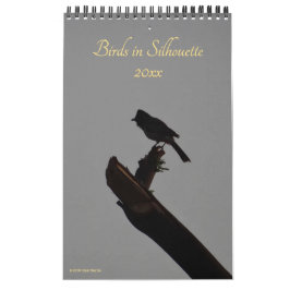 Vögel in Silhouette 2026 Natur-Foto Kalender
