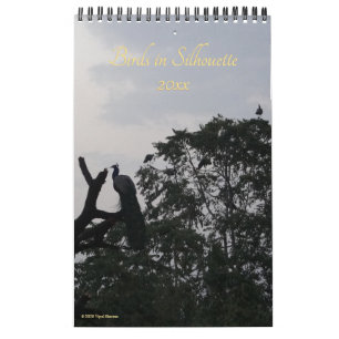 Vögel in Silhouette Naturfotografie 2026 Mauer Kalender