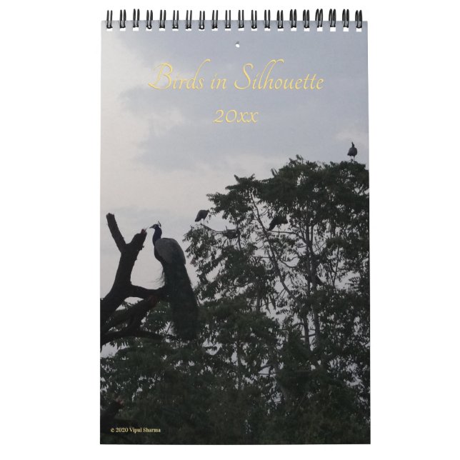 Vögel in Silhouette Naturfotografie 2026 Mauer Kalender (Titelbild)