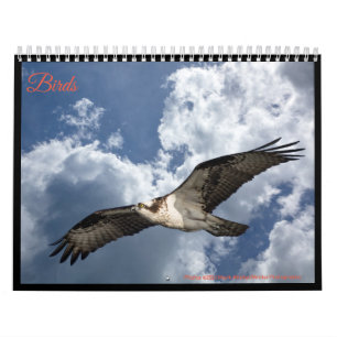 Vögel Kalender