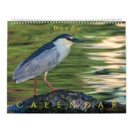 Vögel Kalender
