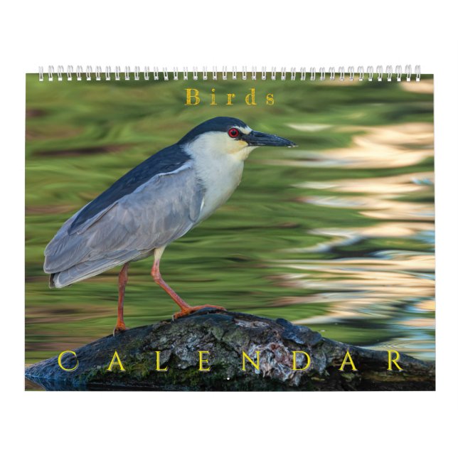 Vögel Kalender (Titelbild)