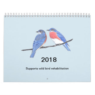 Vogel-Kalender 2018 Kalender