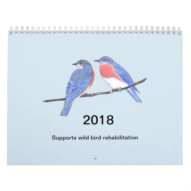 Vogel-Kalender 2018 Kalender (Titelbild)