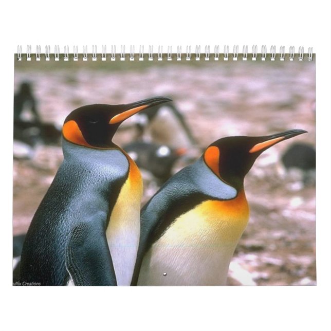 Vogel-Kalender 6 Kalender (Titelbild)