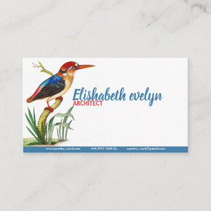 Vögel Kingfisher Vintag Art Visitenkarte