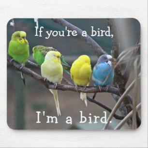 Vogel-Liebe-ZitatParakeets Budgies Foto Mousepad