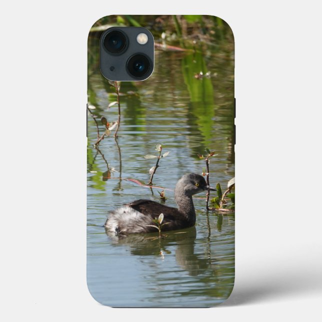 Vogel Lover! Grebe schwimmen im Teich Case-Mate iPhone Hülle (Rückseite)