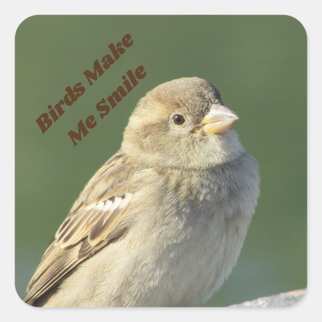 Vögel machen mich zum Lächeln eines kleinen braune Quadratischer Aufkleber (Vorderseite)
