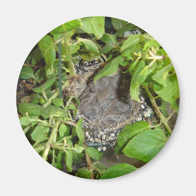 Vögel Magnet (Vorne)