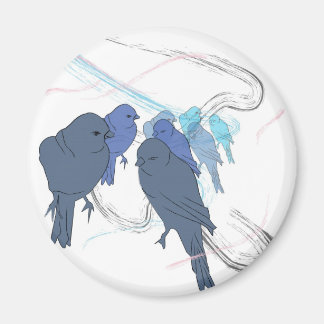 Vögel Magnet