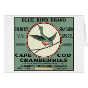 Vogel-Marken-Moosbeeraufkleber Cape Cods blauer