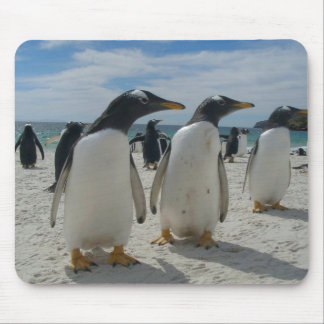 Vogel-Mausunterlage 19 Mousepad