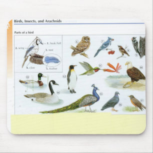 Vogel-Mausunterlage 24 Mousepad