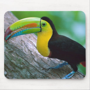 Vogel-Mausunterlage 25 Mousepad