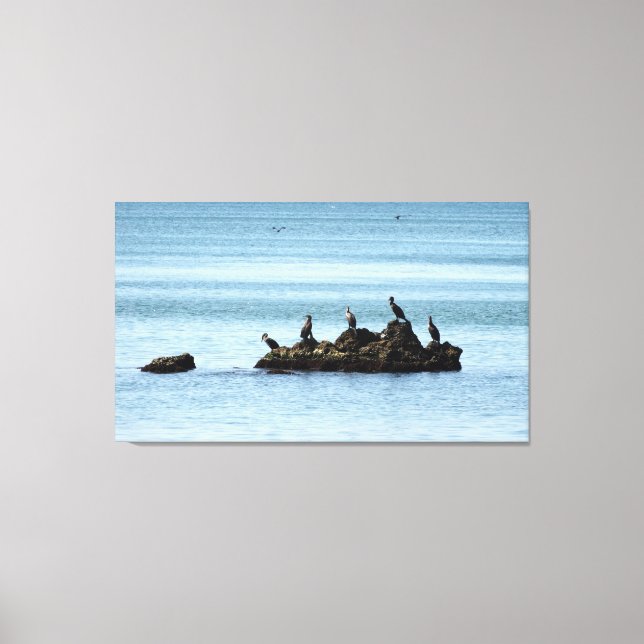 Vögel, Meeresraupen-Foto-gekreuzte Leinwand (Vorderseite)