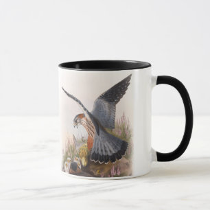 Vögel MERLIN-Falke-Johns Gould von Großbritannie Tasse
