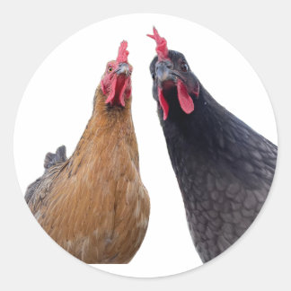 Vögel mit Haltung Aufkleber