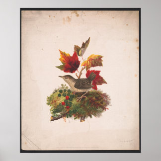 Vogel mit Herbst Foilage Antike Illustration Poster