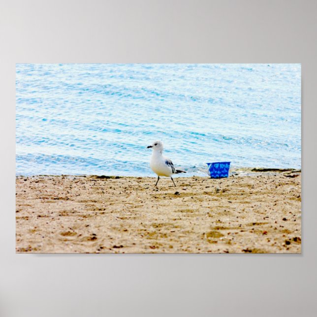 Vogel mit Sand Pail Poster (Vorne)