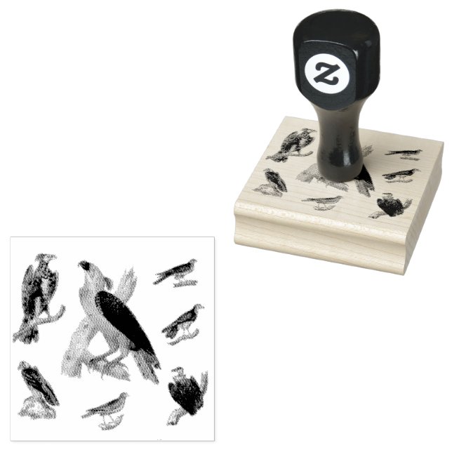 Vögel mit scharfer Mixed-Scrapbooking Gummistempel (Stempel)