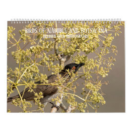 Vögel Namibias und Botsuanas Kalender