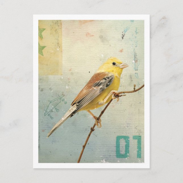 Vögel Nr. 4 Postkarte (Vorderseite)