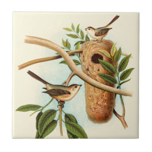 Vogel-Paare auf einem Nest gehockt auf einer Fliese