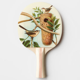 Vogel-Paare auf einem Nest gehockt auf einer Tischtennis Schläger