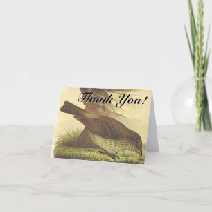Vögel picken vor Ort "Danke!" Karte