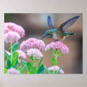 Vogel Poster